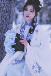 雪中猫