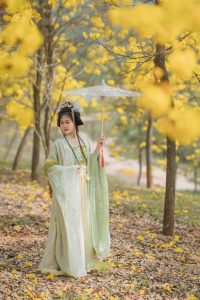 黄花树下，缓缓而行