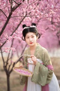 美人梅打卡～
