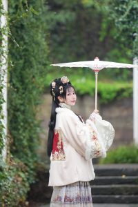 何来人间一惊鸿 只是世间一俗人